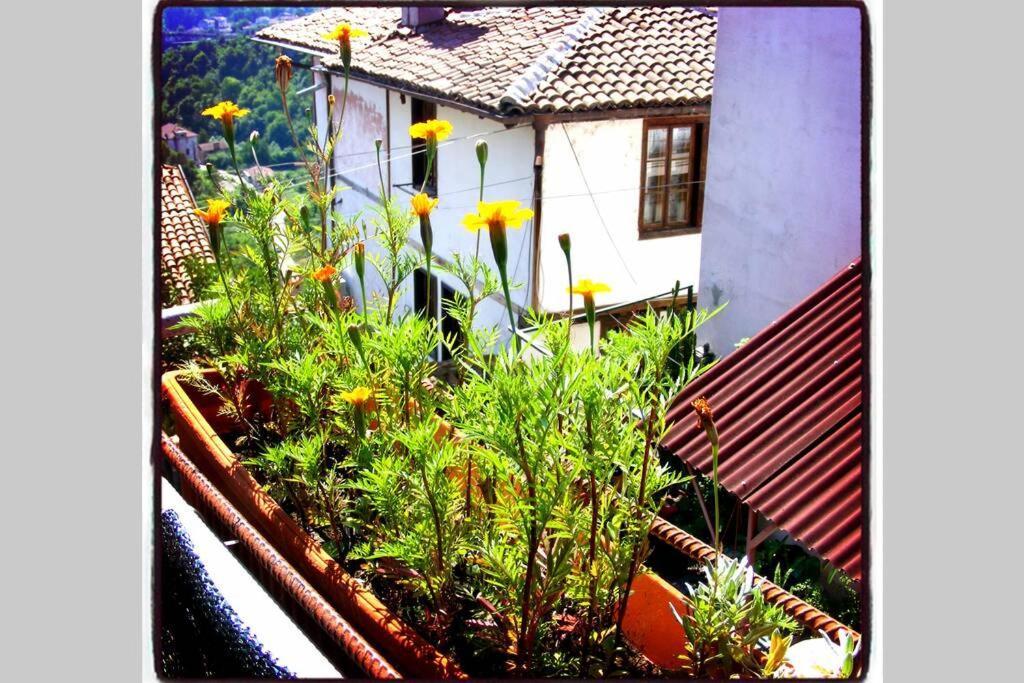 Authentic Guest Stay In The Heart Of Veliko Tarnovo Студио С Изглед Към Царевец Exterior photo